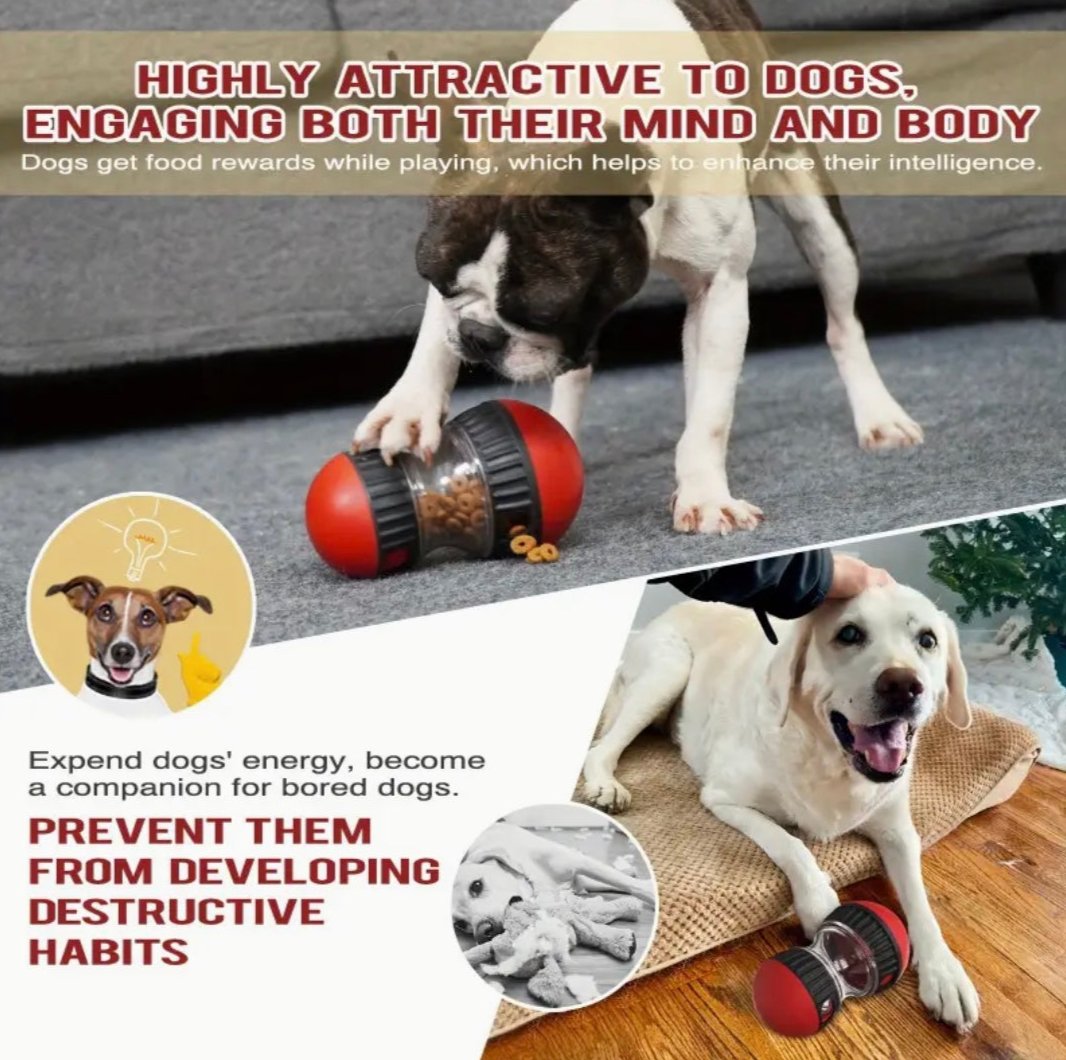 Slow Feeder Toys for Puppies and Cats