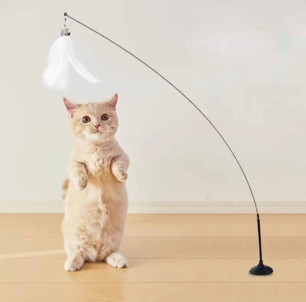 Interactive cat toy