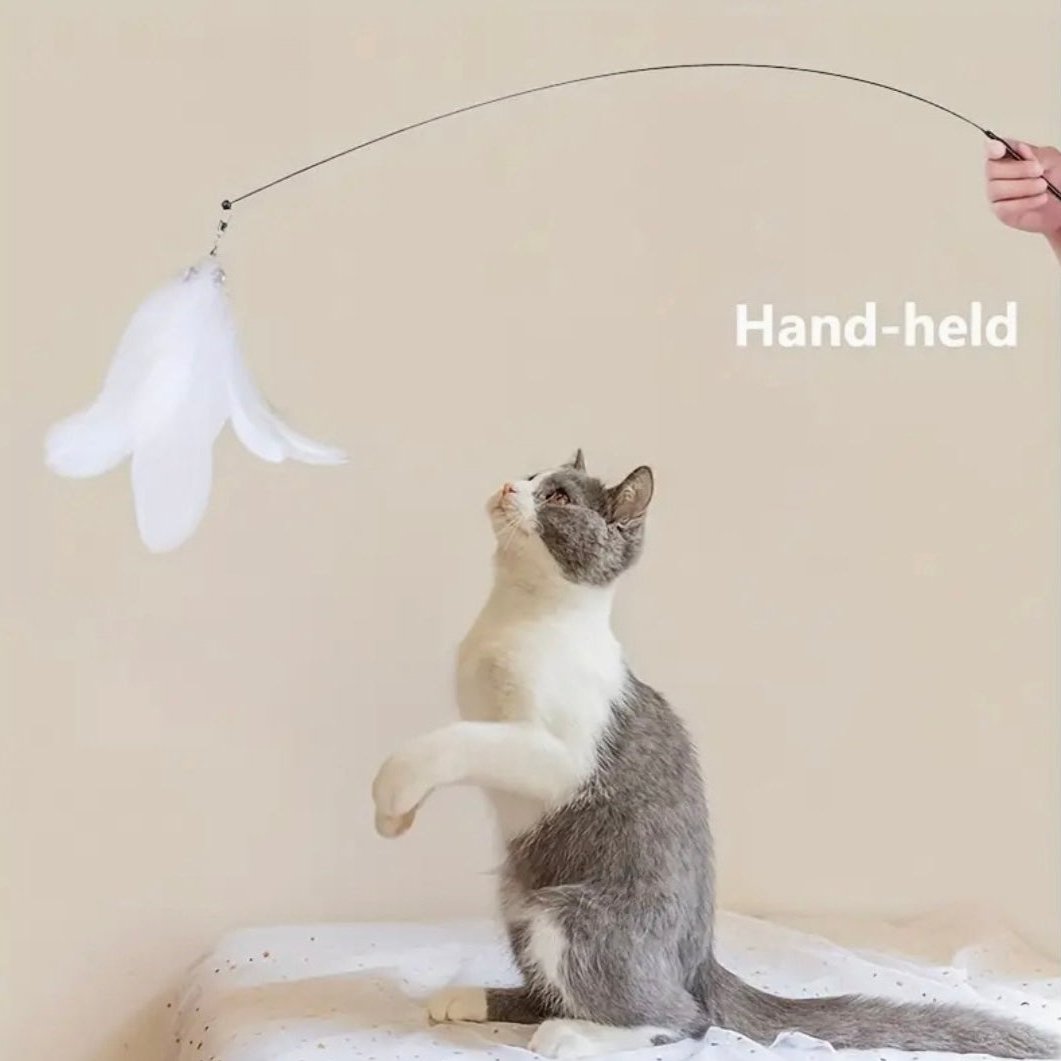 Interactive cat toy