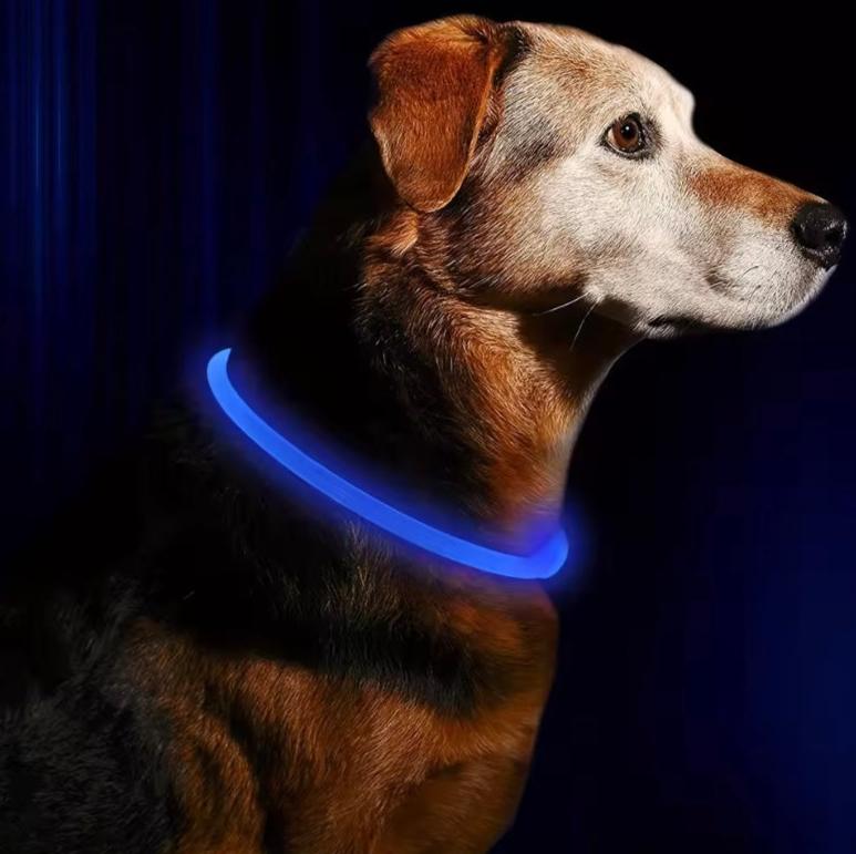 LED Light Up Dog Collar